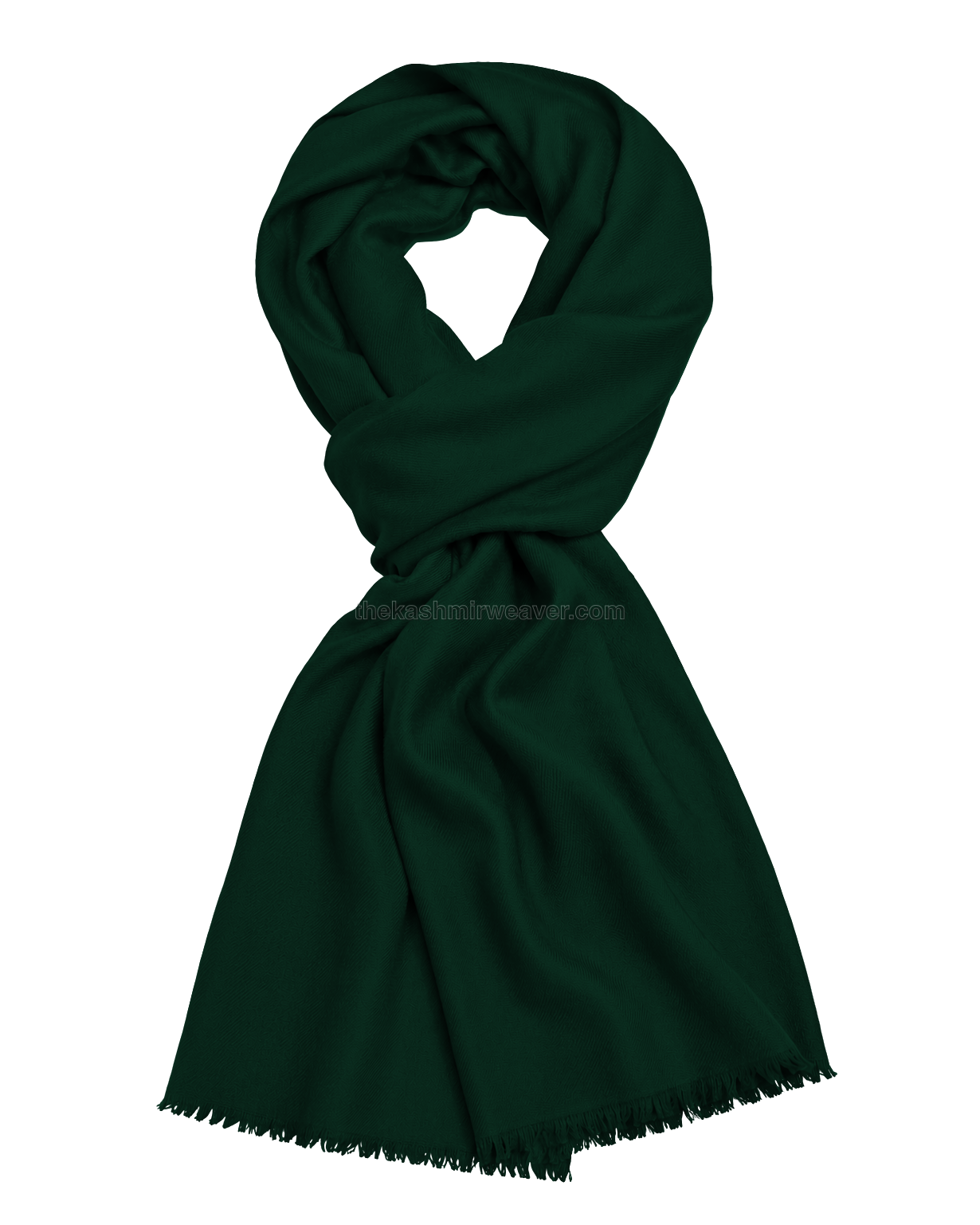 Green Cashmere Pashmina Shawl — flat view