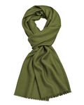 Olive Light Green Cashmere Pashmina Shawl — flat view