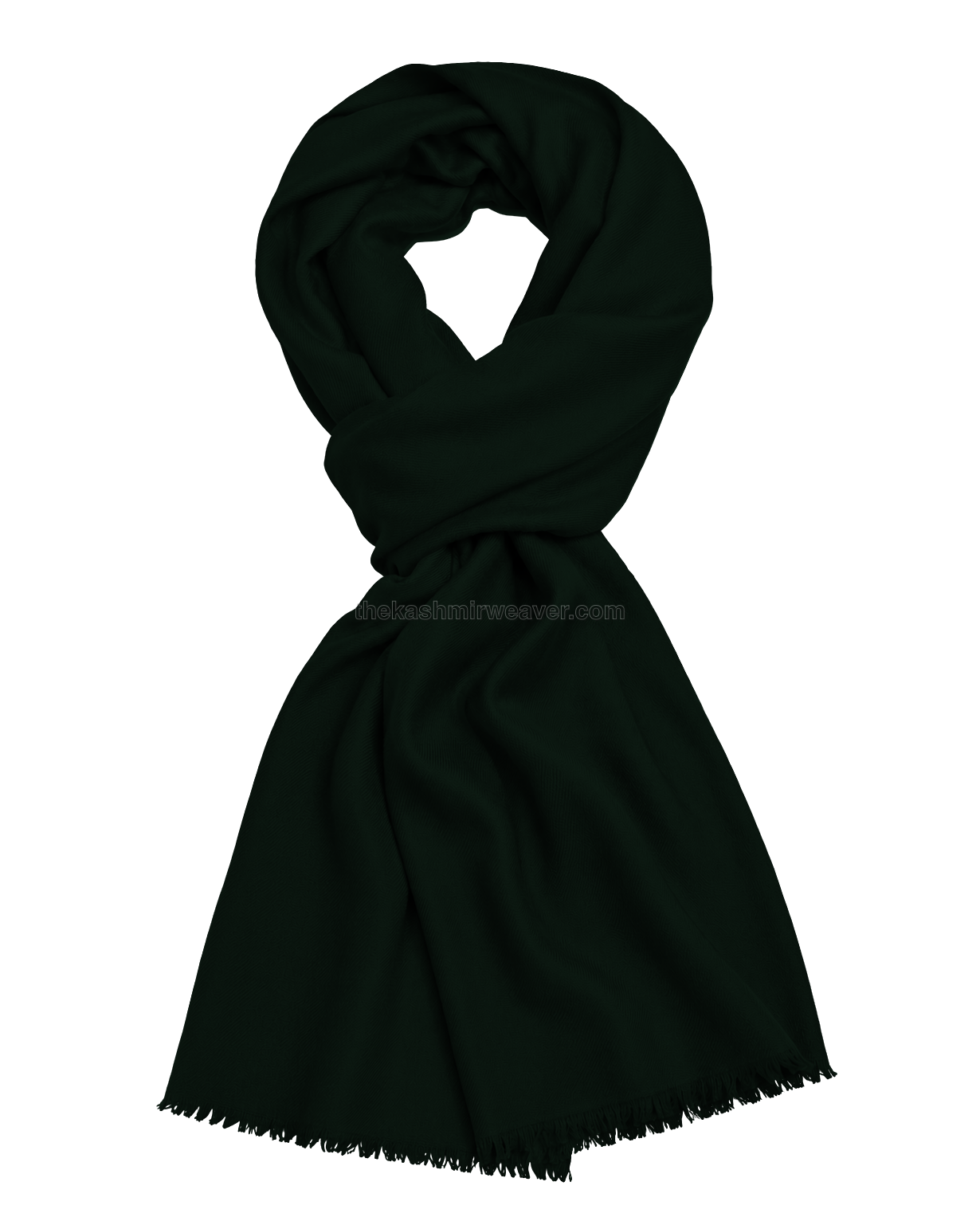 Green Cashmere Pashmina Shawl — flat view
