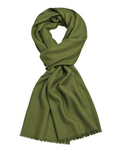 Olive Light Green Cashmere Pashmina Shawl — flat view